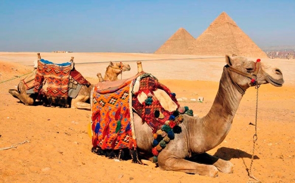 Dos Day Tours de El Cairo por el vuelo y Luxor en tren coche cama